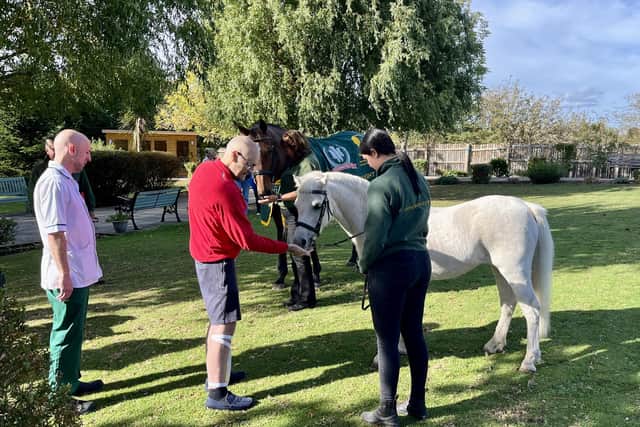 Patients enjoy special horse visit at The Prince of Wales Hospice.