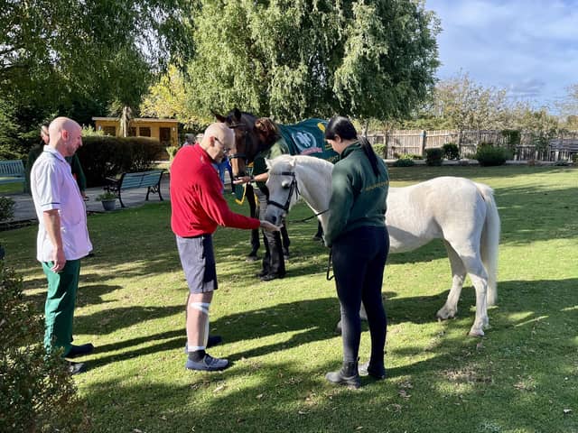 Patients enjoy special horse visit at The Prince of Wales Hospice.