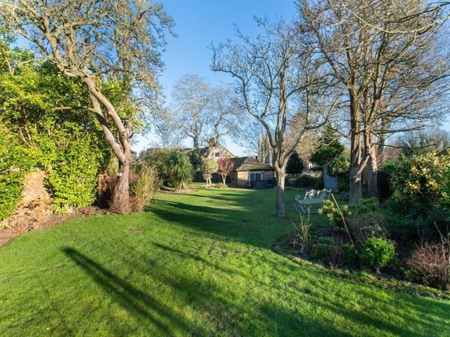 Looking back towards the cottage from the garden.