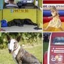 Netherton Classic Car and Fun Dog Show 2022