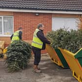 Hospice volunteers help collect the trees, and those interested can register online to get their Christmas trees collected