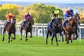 Noble Grace charges ahead to win the Always Trying Syndicate Handicap for Warren Greatrex and Ed Greatrex. Picture: Alan Wright