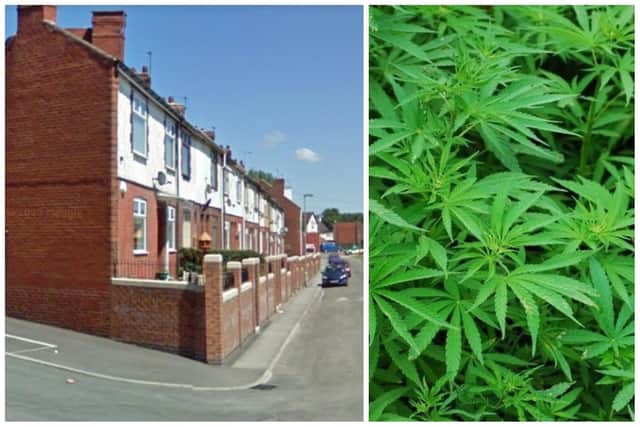 The cannabis grow was found in a terraced home on Spring Terrace, South Elmsall.