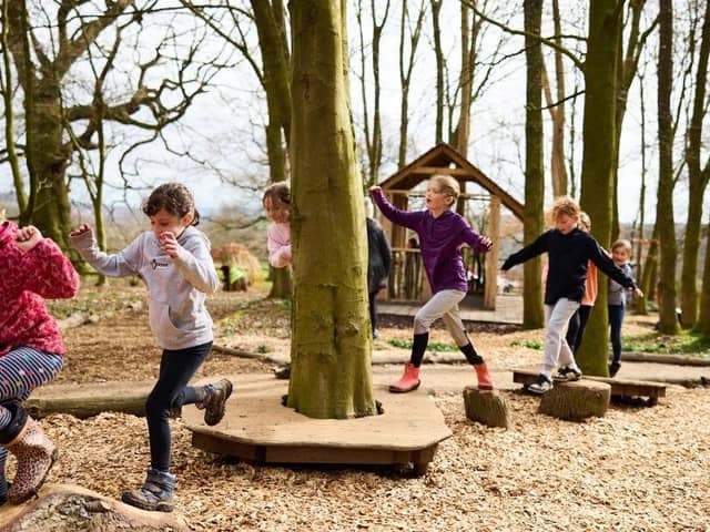 The Little Wild Wood at YSP provides an area for families to play in nature, with a willow tunnel, den-making area, tree stump stepping stones, and more. Photo: © David Lindsay, courtesy YSP