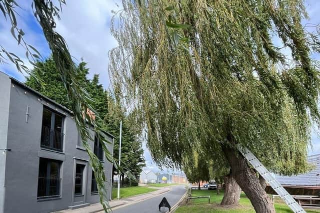 David Lockwood, co-owner of the The Wharf pub, said he had the willow tree removed as it was rotting and in danger of falling onto his pub. Mr Lockwood took this image of the tree shortly before it was chopped down.
