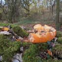 Pumpkin flesh can be dangerous for hedgehogs, attracts colonies of rats and also has a really detrimental effect on woodland soils, plants and fungi..