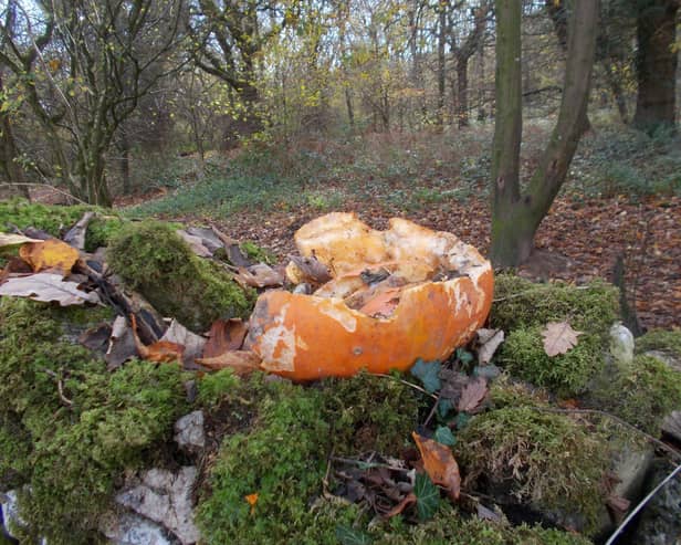Pumpkin flesh can be dangerous for hedgehogs, attracts colonies of rats and also has a really detrimental effect on woodland soils, plants and fungi..
