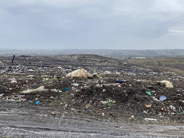 Senior councillors have approved plans to turn a rubbish tip in Wakefield into a country park.