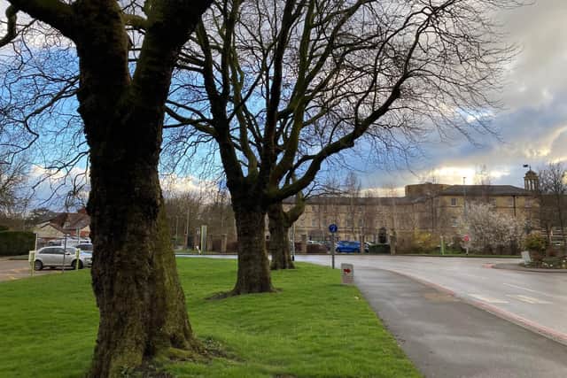 Plans to fell trees in the grounds of Pinderfields Hospital have been scaled back after health chiefs were accused of an 'overly cautious' approach to health and safety.
