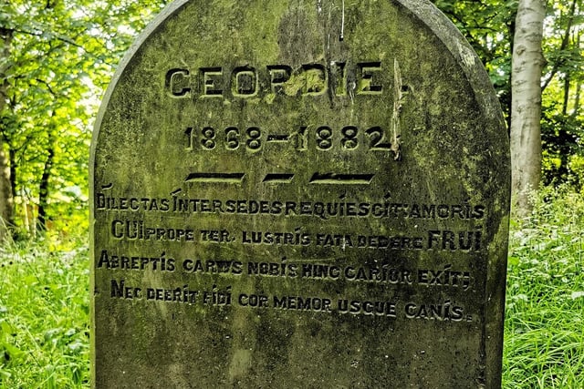 The smaller headstones were for the family dog 'Geordie' (1868-1882).