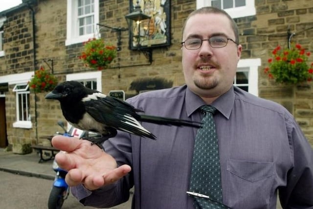 Remember Thatcher the magpie? It would appear at Alan Tate's pub/restuarant, The Kings Arms, in Wakefield where the wayward bird pinched keys, drinks, pecked customers and invaded the bar back in 2004.