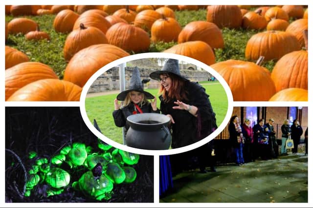 There are lots of spooky events going on around the district this Halloween.