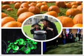 There are lots of spooky events going on around the district this Halloween.