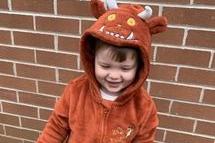 Jemma Hiscocks shared this snap, saying: "My cheeky little Gruffalo…. Aka George aged two 💙"