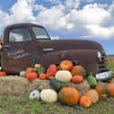 Farmer Copleys Pumpkin Festival.