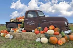 Farmer Copleys Pumpkin Festival.