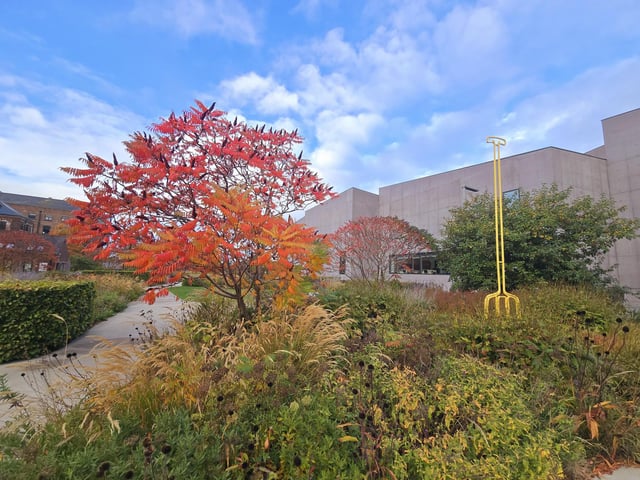 Autumnal colours outside The Hepworth Wakefield.