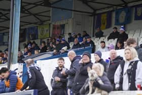 Supporters gather in the stand to watch the action about to unfold. Picture: Scott Merrylees
