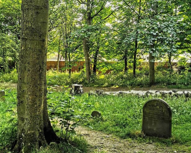 Explore the hidden pet cemetery, lost in a Wakefield park.