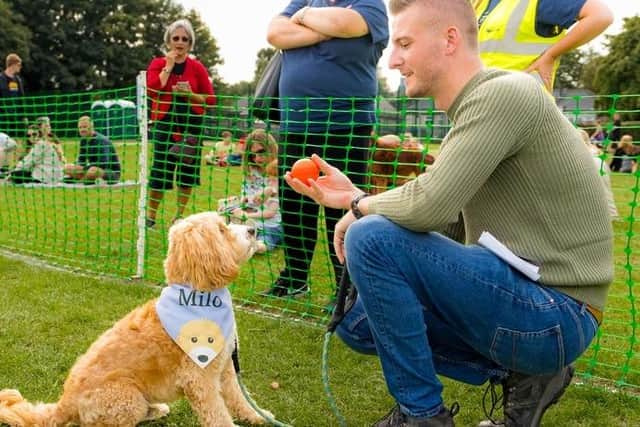 Dogs of all breeds and sizes took part in the fun day for our four-legged friends.