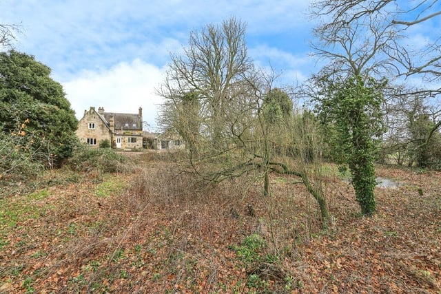 Looking back towards the house from the woodland area.