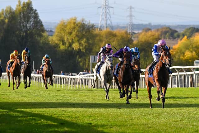 Moon Over Miami won the Phil Bull Trophy Handicap. Pic: Alan Wright