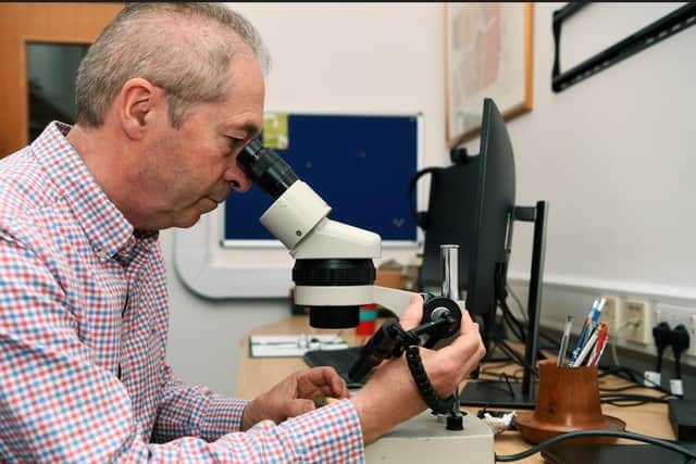 He later took the rock to the University of Leeds where he met with Professor Simon Kelley from the School of Earth and Environment. SWNS