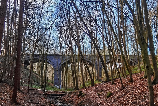 Rural Newmillerdam is home to a variety of hidden treasures with the viaducts being only one of the many mysteries.