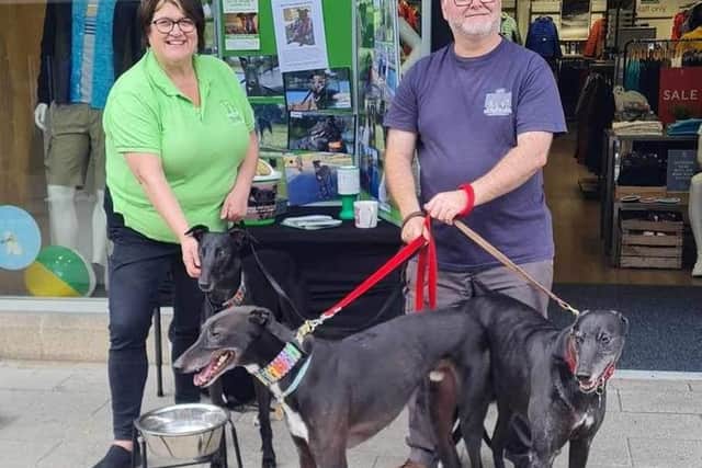 Jimmy (right), Curtis (centre) and Fred (left) with their owners and fantastic volunteers from Greyhound Trust West Yorkshire.