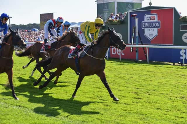 Yorkshire-based good causes can win a donation of up to £20,000 at this year’s Sky Bet Ebor Festival at York Racecourse