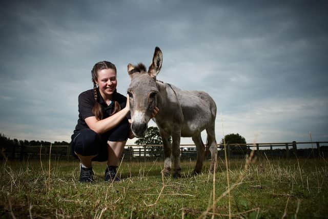 The Wonkey Donkey centre is holding a series of summer events to grow the sanctuary. Manager Jennifer Howarth