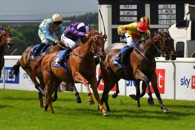 Forceful Speed, under a driving ride from champion jockey William Buick, won a thrilling finish to the Sky Bet Sunday Series Handicap at Pontefract. Picture: Hannah Ali