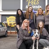 Charlie the lurcher with staff at the dog charity day at Pets & Friends on Horbury Road. Picture Scott Merrylees