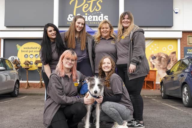 Charlie the lurcher with staff at the dog charity day at Pets & Friends on Horbury Road. Picture Scott Merrylees