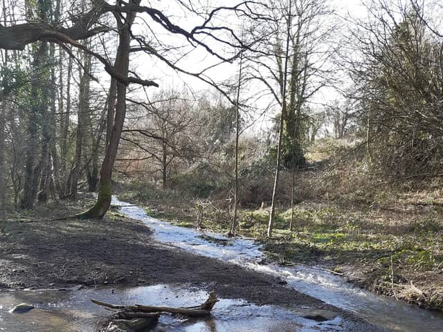Stoneycliffe Woods Nature Reserve, Wakefield