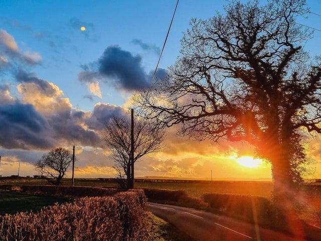 Shared by Sue Billcliffe.