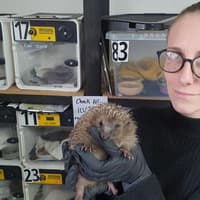 Fears for hedgehog rescue centre’s  future after Wakefield Council’s legal letter