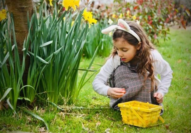 Blacker Hall Farm is inviting children from across the district to partake in their egg-citing Easter egg hunt from March 18 to March 31. For £4, children will recieve a special Easter map as well as a quiz - with a surprise treat at the end also included.
