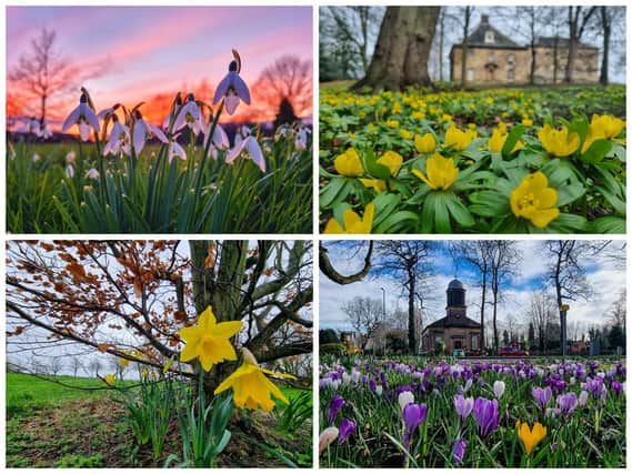 Here are some of the best photos of Wakefield, as the seasons change, taken by readers.