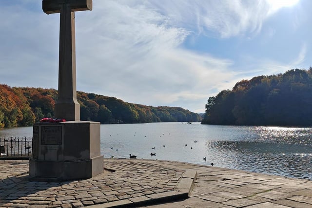 The country park is home to a beautiful central lake surrounded by a surfaced path with surrounding incredible woodland located on the slopes.