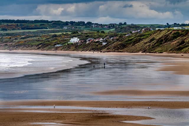 A person walks his dog along the beach in Filey, East Yorkshire.
