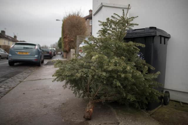 Be a green champion: Find out where and how to recycle your real Christmas tree in Wakefield after the big day. Photo by Matt Cardy/Getty Images