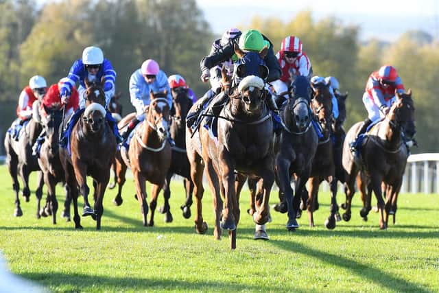 Magical Effect leads home a big field to win at Pontefract. Picture: Alan Wright