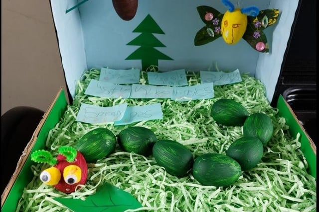 Gemma Wright shared a photo of her little boy's design for Reception of the Very Hungry Caterpillar.