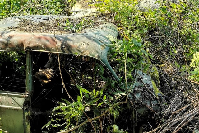 More vehicles may be hiding deeper within the undergrowth of brambles, nettles and vines.