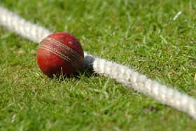 Wakefield Thornes have finished third in the Yorkshire Southern Premier League.