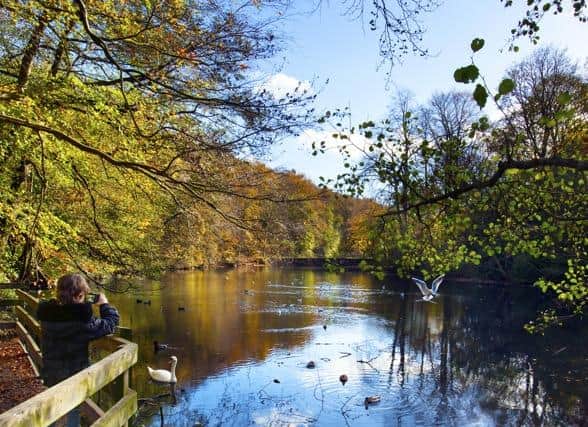 People in Wakefield have been asked to share their thoughts on how to restore and protect nature across the region.