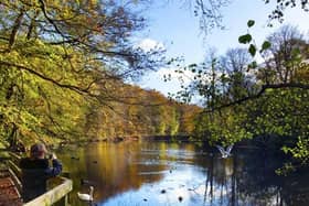 People in Wakefield have been asked to share their thoughts on how to restore and protect nature across the region.