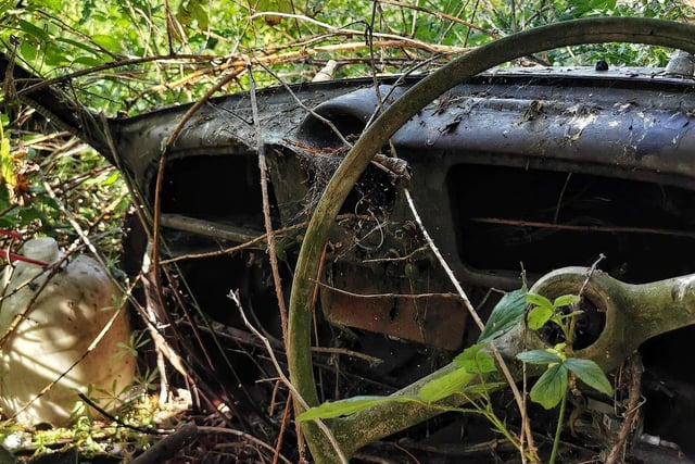 The overgrown and rotting remains of a mysterious car cemetery remain in Wakefield.