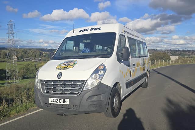 The Doggie Bus